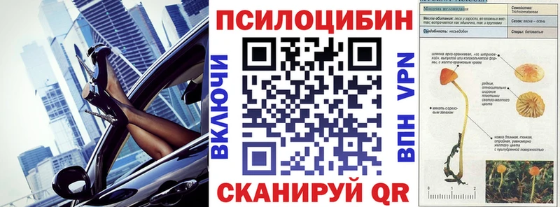 Псилоцибиновые грибы мицелий  Купить где  Мытищи 